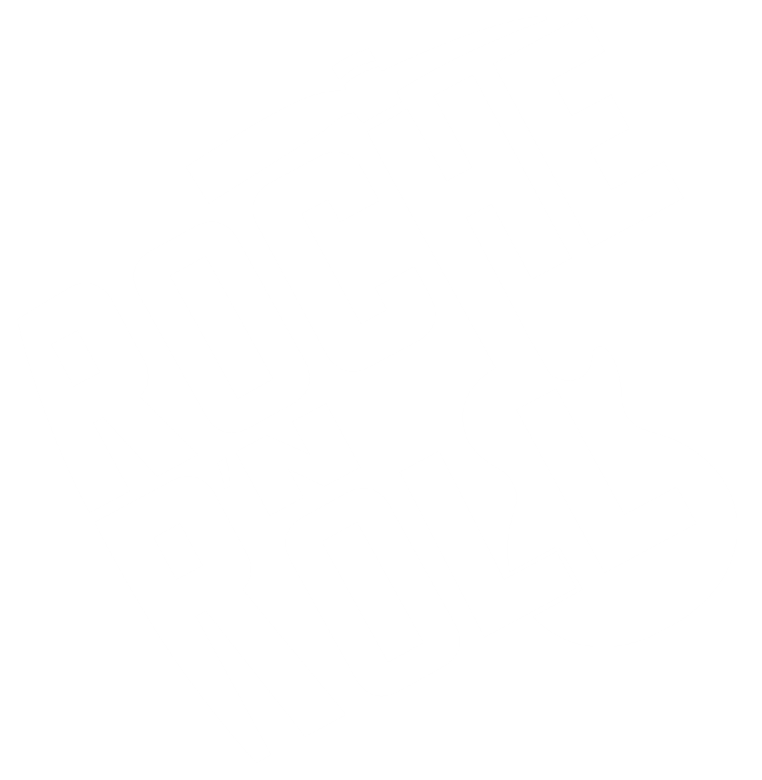 roche-n-roll-tfo